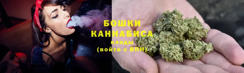 Бошки марихуана сатива  купить наркоту  Камень-на-Оби 